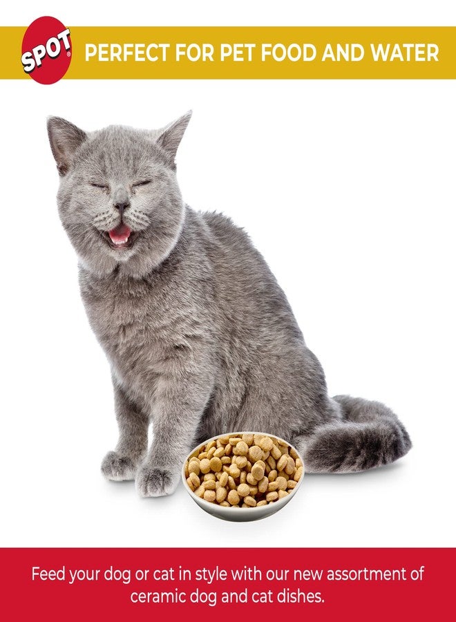 SPOT Best Friends Oval Cat Food Dish - Ceramic Plate with Low Edges, Saucer with Whisker-Friendly Shape and Low Profile Sides, Ideal for Wet or Dry Cat Food, Dishwasher Safe, 6in, Light Grey - Image 2
